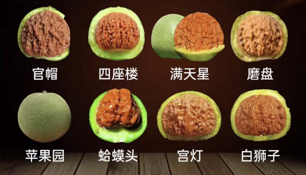 青皮蛤蟆头文玩核桃