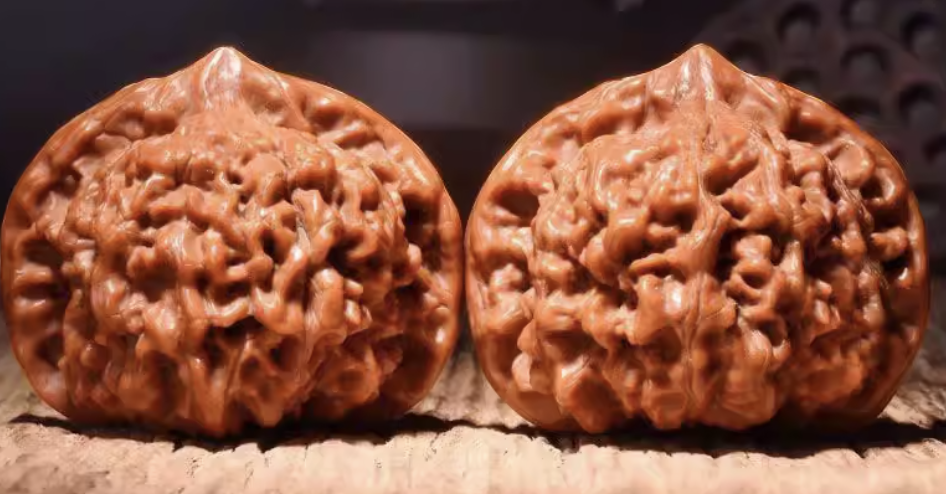 文玩核桃麒麟纹