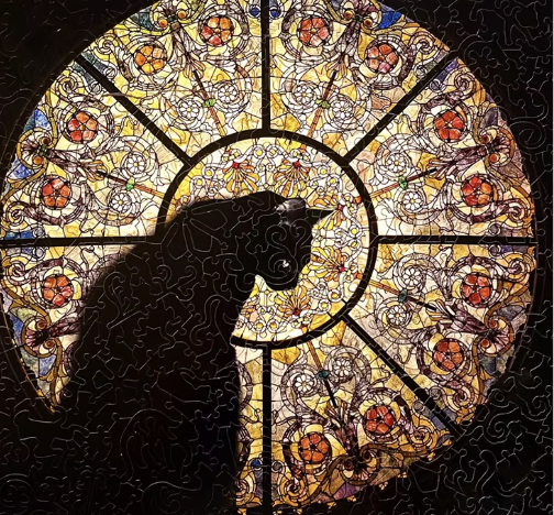 cathedralcat教堂猫咪